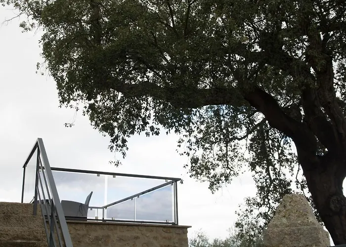 Casas Do Regato Castelo Branco (Centro)