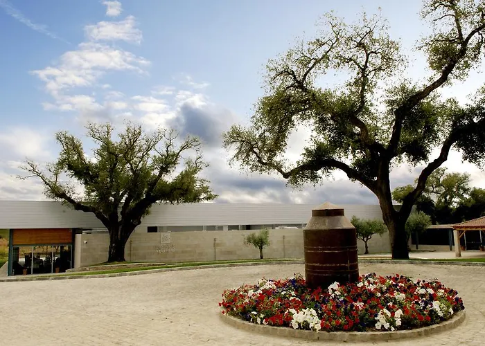 Casas Do Regato * Castelo Branco (Centro)
